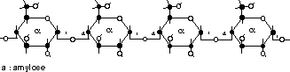 Formule de l'amylose