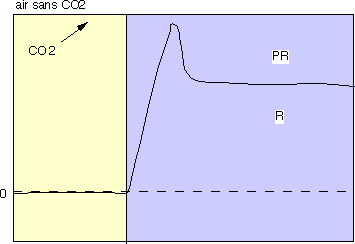 Mise en évidence de la photorespiration