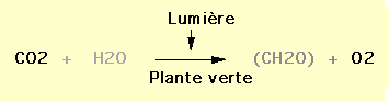 eq12.gif