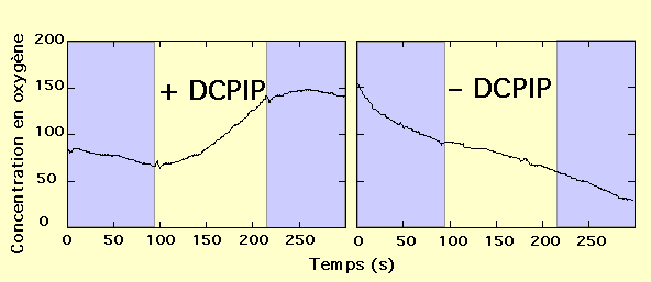 Etude polarographique
