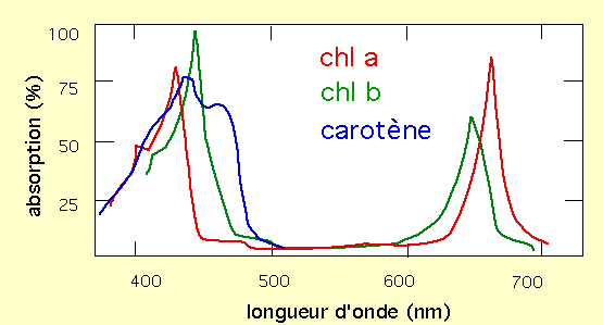 Spectres d'absorption