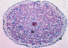 s0186