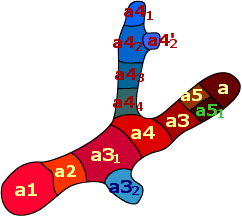 aleatoire