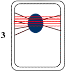 pos3.gif