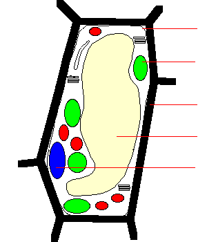 image à légender