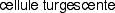 légende 4