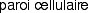 légende 5
