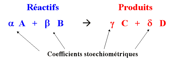 image5.gif (4928 octets)