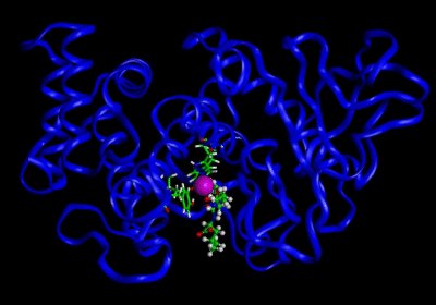 enzyme.jpg (18941 octets)