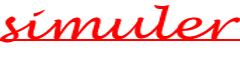 Simulation